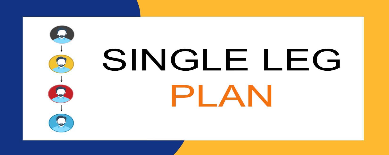 Custom MLM Software Plans